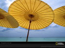 yellow-umbrella-501537-sw