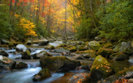 00388_fallintennessee_1920x1200