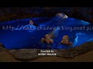 h2o (135)
