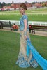 sari3