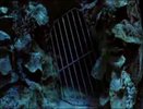 h2o (109)