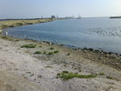 DSC00063
