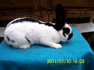 Picture 122