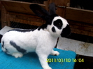 Picture 125