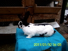 Picture 128