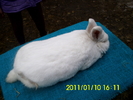 Picture 148