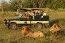 Tanzania-Safari1[1]
