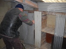 constructor colivii de toate neamurile