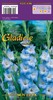 Gladiolus9
