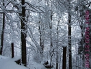 DSCF2623