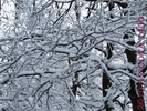 DSCF2624