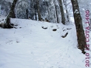DSCF2632