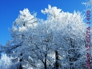 DSCF2650