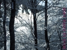 DSCF2657