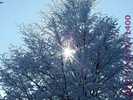 DSCF2660