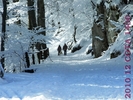 DSCF2663