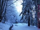DSCF2667
