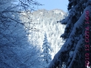 DSCF2668