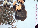 DSCF2725