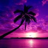 PurpleSky