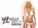 Kelly-Kelly-wwe-divas-4124829-1024-768_display_image