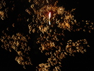 DSC01659
