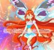 winxbelievinx