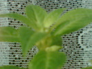 Imag015
