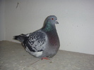 DSC00581