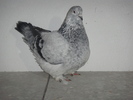 DSC00587