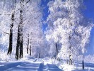 poze-iarna-de-vis_1024x768[1]