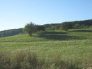 Picture 528