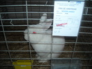DSCN1266
