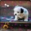thumb1_4_glitery_pl_lesa_1877