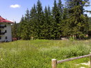 15062009340