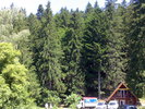 15062009346