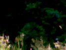 15062009351