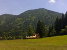 15062009361