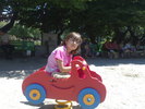 15062009391