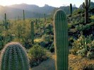 arizona_trail_csg001