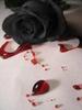 black-rose-emo-blood-goth-punk-1213324_165_220