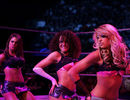WWE-Kelly-Kelly-Brilliant-Performer