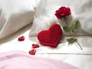 -romantic-heards-Love-shizbitch-my-album-natalie-flowers-roses-rose-e-fiori-heart-my-favourites-albu