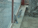 DSC03112