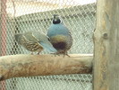 DSC03158