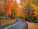 Autumn_Road_L