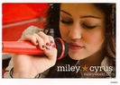 Miley (4)