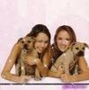 Miley Cyrus,dog,Emili osment and dog