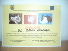 DSCN1285