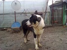MOLDA